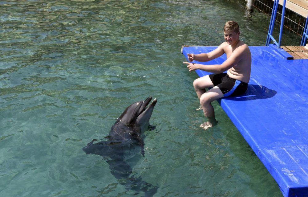 ENGELLILERE YUNUSLA TERAPI YAPILIYOR